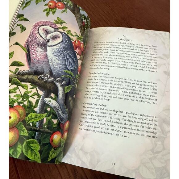 TAROT OF THE OWLS Pamela Chen Elizabeth Alba Boxed Book & Cards Body Mind Spirit - Picture 7 of 11